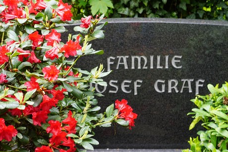 Bad Godesberg
